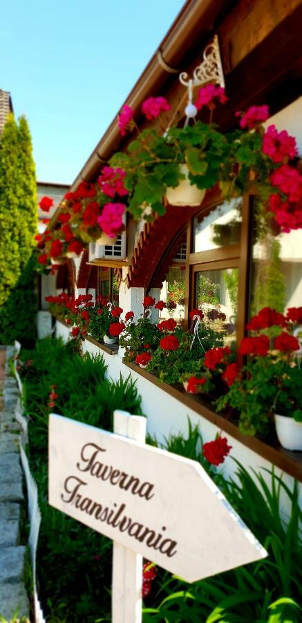 Hotel Elisabeta Alba Iulia Esterno foto